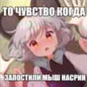 То чувство когда запостили мыш насрин.png